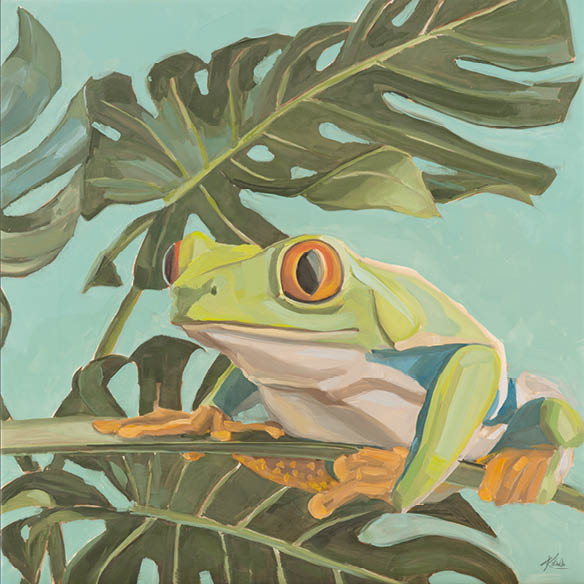 Art Card, Rotaugenlaubfrosch Lotte, 20x20 cm