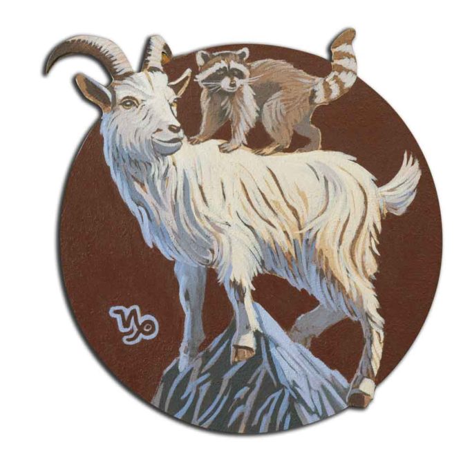 Sternzeichen Steinbock Ein Waschbär auf dem Rücken vom Steinbock erklimmt den Gipfel.