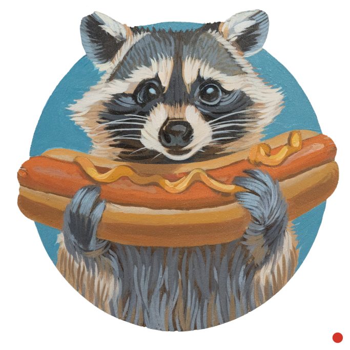 Hot Dog Fan Ein Waschbär mit Hot Dog