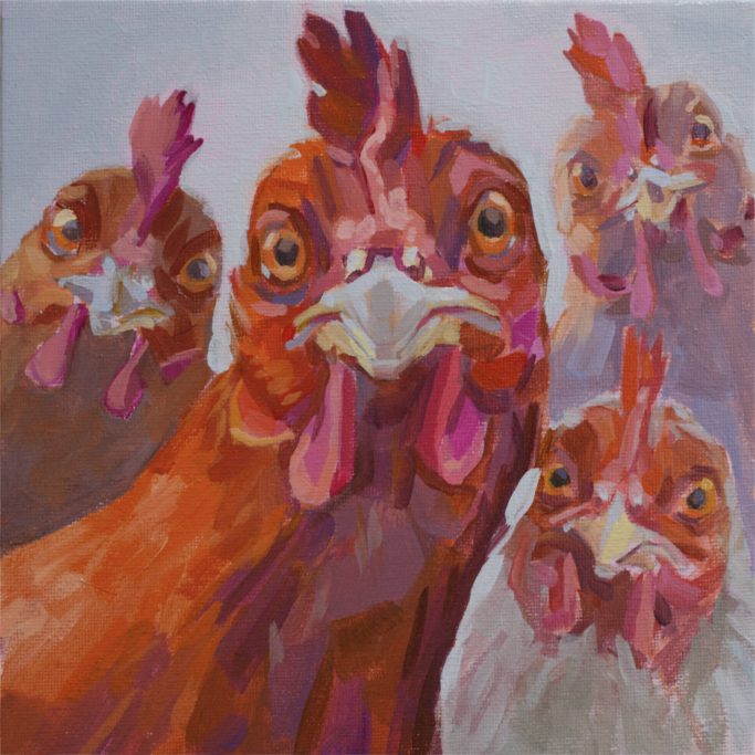 Neugieriges Huhn Neugierige Hühner