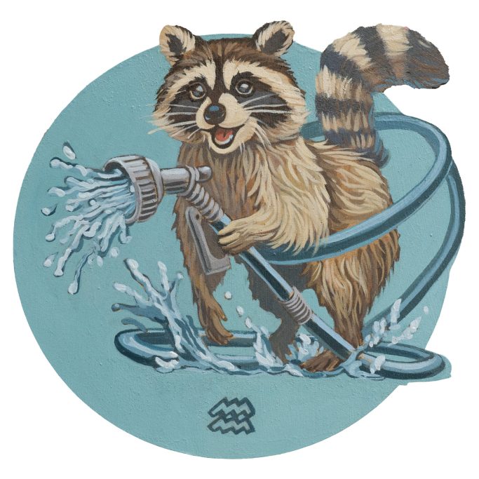 Sternzeichen Wassermann Waschbär mit Wasserschlauch
